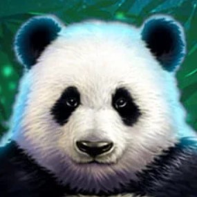 Păcănele Panda