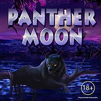 Joc Panther Moon online Joaca Panther Moon