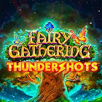 Joc Fairy Gathering Thundershots online Joaca Fairy Gathering Thundershots