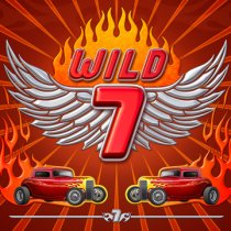 Joc Wild 7 online Joaca Wild 7