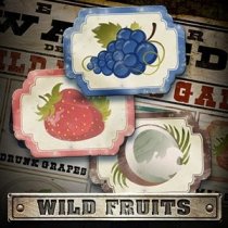 Jocul Wild Fruits Wild Fruits