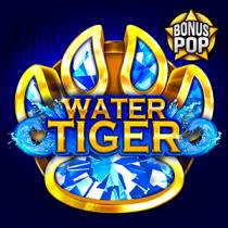 Jocul Water Tiger Water Tiger